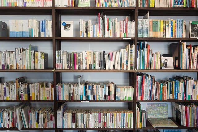 studia zaoczne czy warto